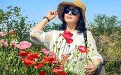 小寡妇汆白肉最经典十首歌曲